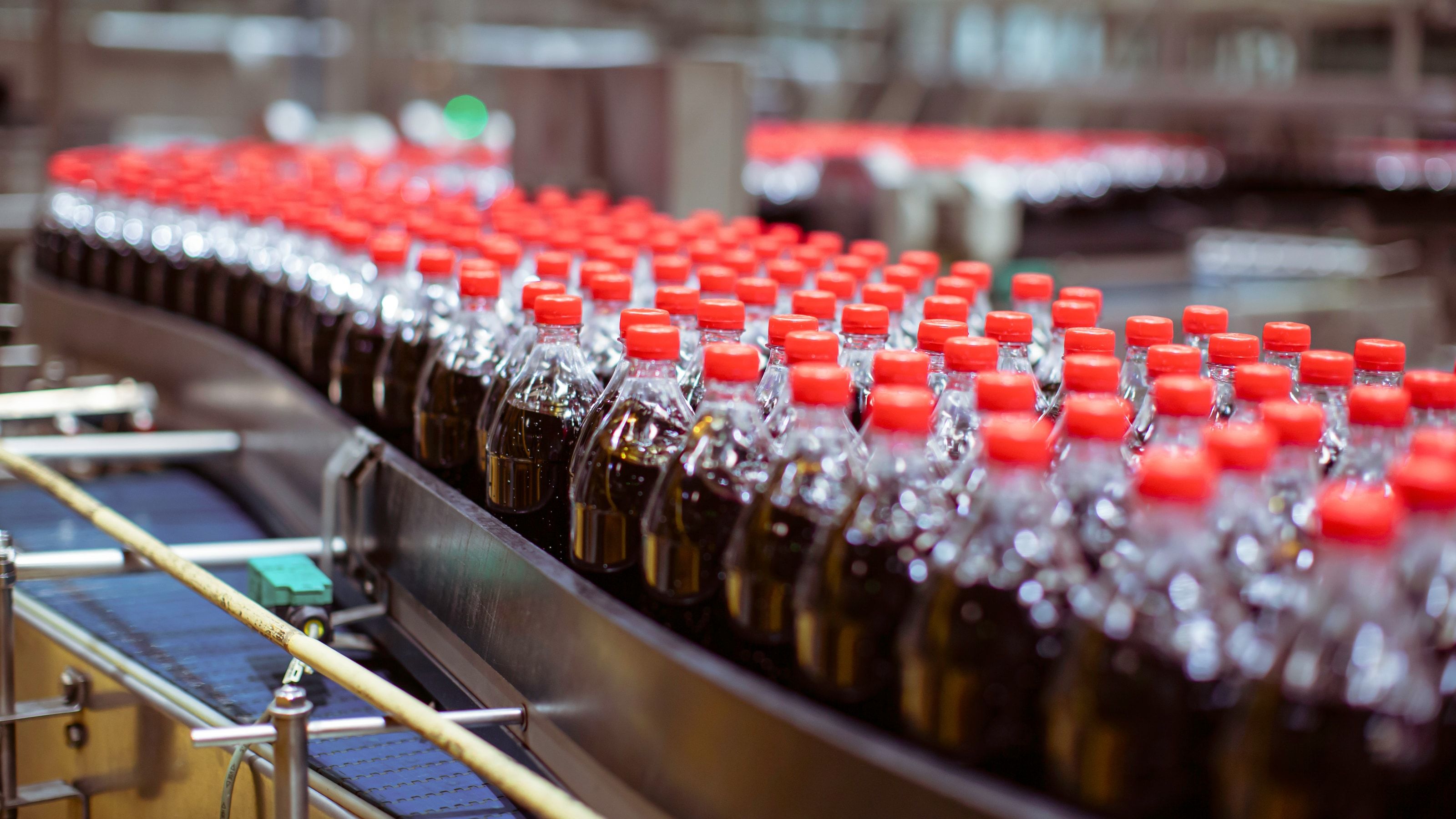 Línea de producción de la industria alimentaria con control de calidad